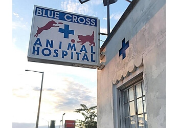 Visit our animal hospital