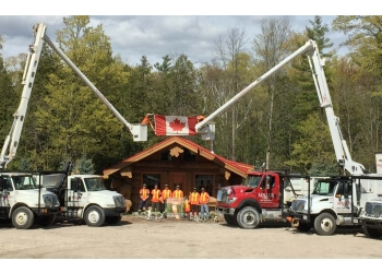 Spartan Construction Tree Service