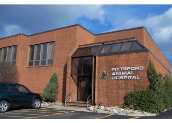 Pittsford animal hospital urgent care