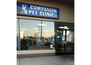 3 best veterinary clinics in salem or - expert recommendations on companion pet clinic salem