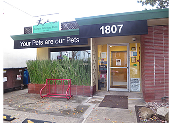 3 best veterinary clinics in berkeley ca - expert recommendations on pet vet el cerrito clinic