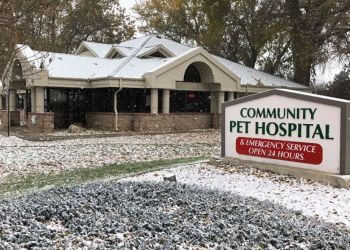 3 best veterinary clinics in thornton co - expert recommendations on community pet hospital thornton reviews
