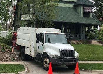 Arborist at owen tree & lawn, an employee owned company. 3 Best Tree Services In Grand Rapids Mi Expert Recommendations