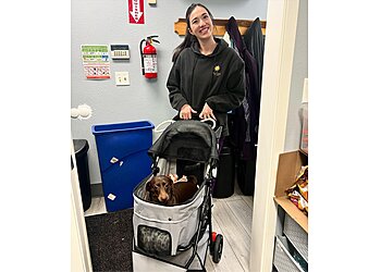 3 best veterinary clinics in eugene, or