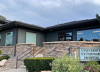 3 best veterinary clinics in salt lake city ut - expert recommendations on university pet clinic salt lake city