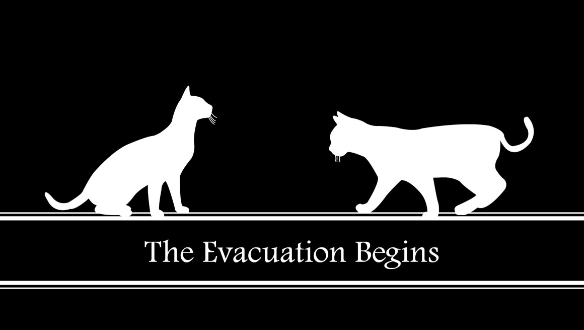 The Evacuation Begins