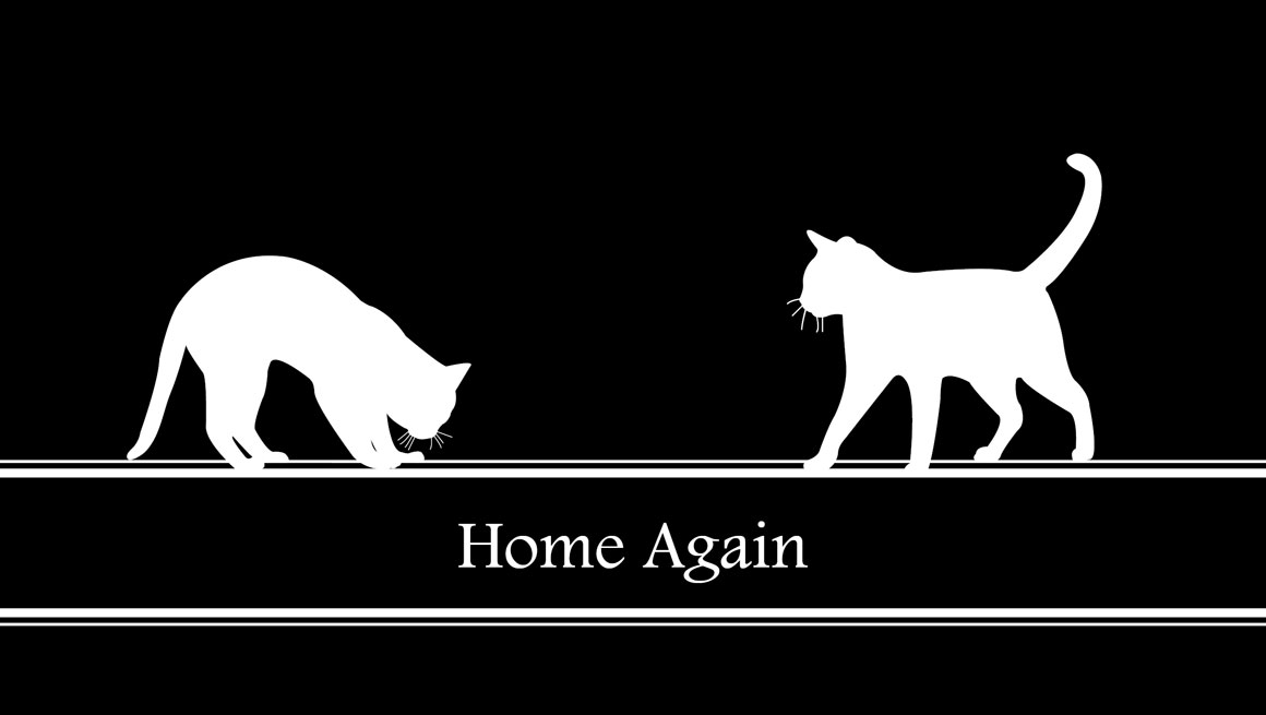 Home Again