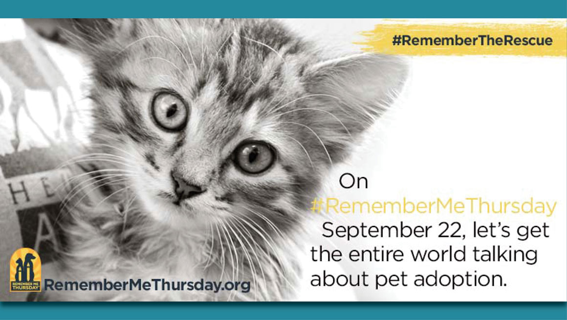 #RememberMeThursday