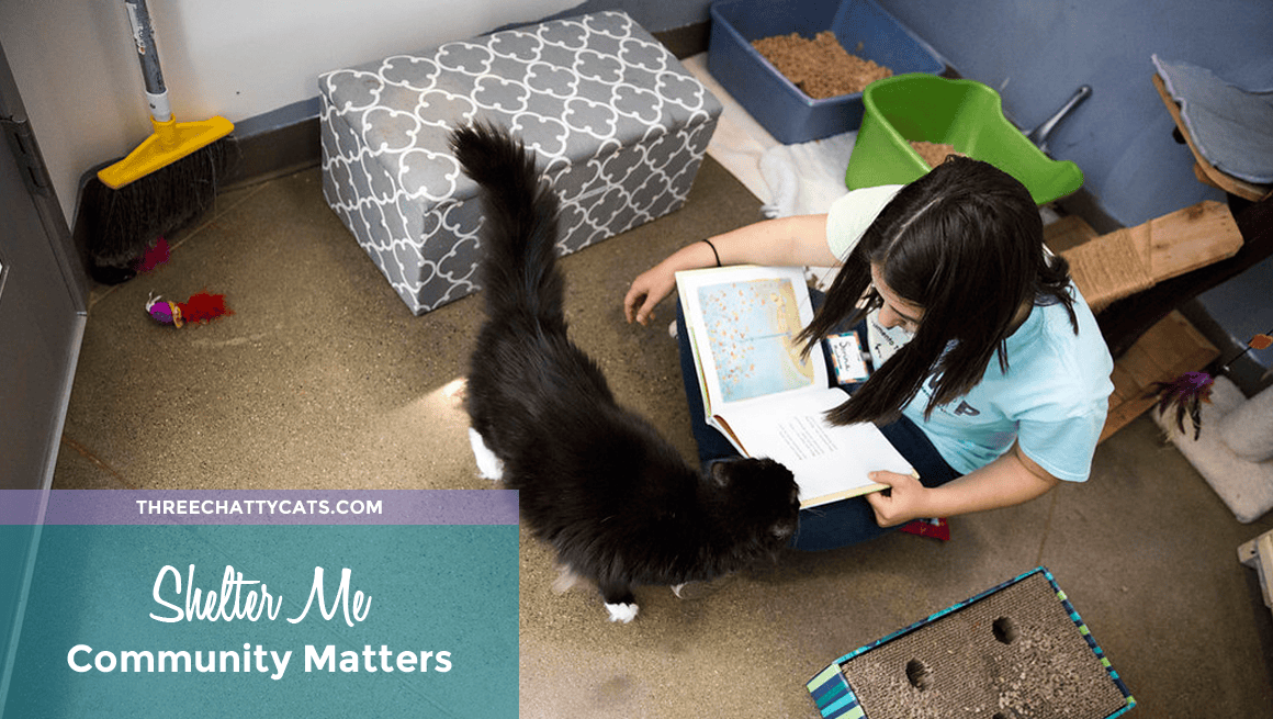 Shelter Me: Community Matters