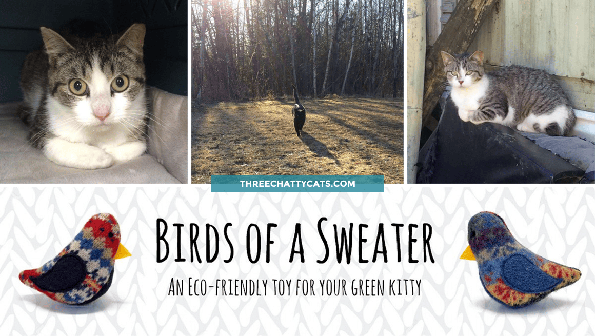 Birds of a Sweater