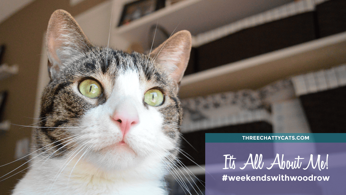 Weekends with Woodrow