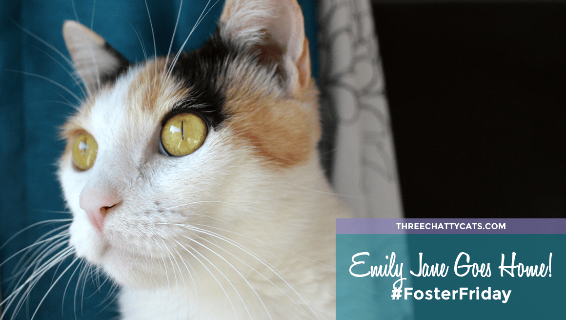 Emily Jane Goes Home!