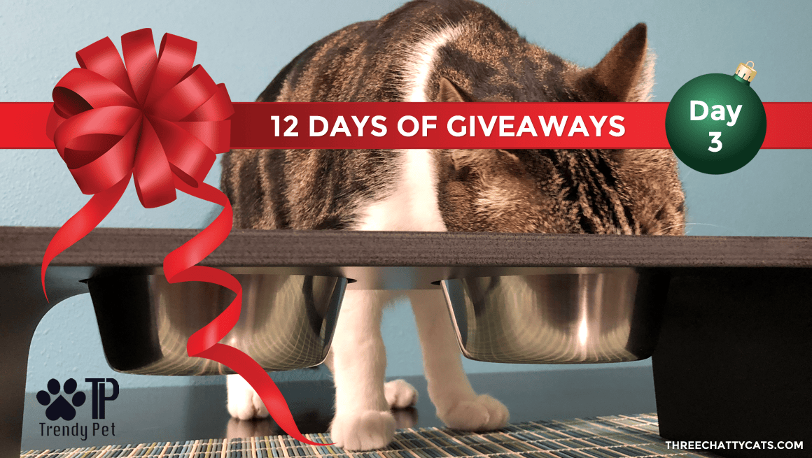 Trendy Pet | 12 Days of Giveaways