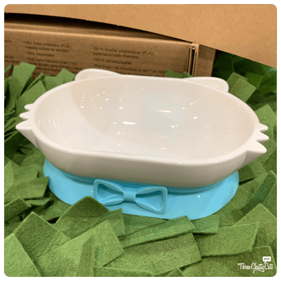 cat dish at CatCon 2019