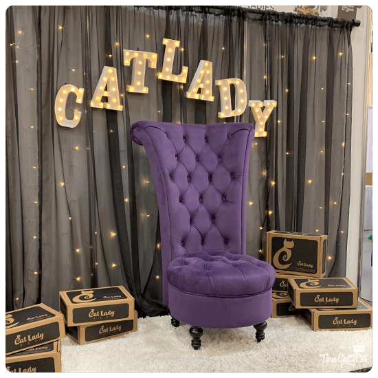 Cat Lady Throne from CatLadyBox at CatCon 2019