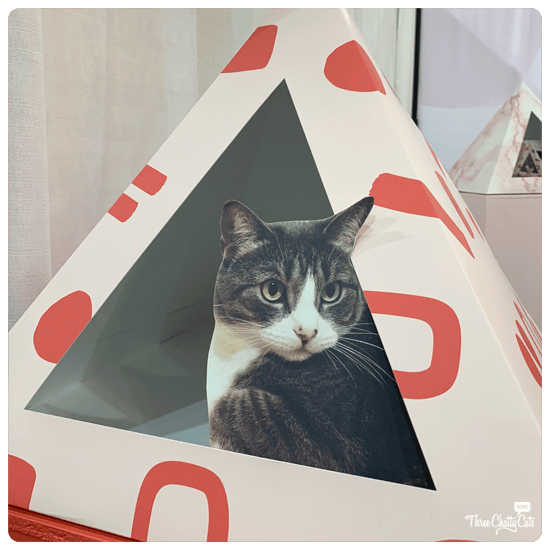 Kitty Kardboard at CatCon 2019