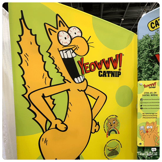 Yeowww! Catnip at CatCon 2019