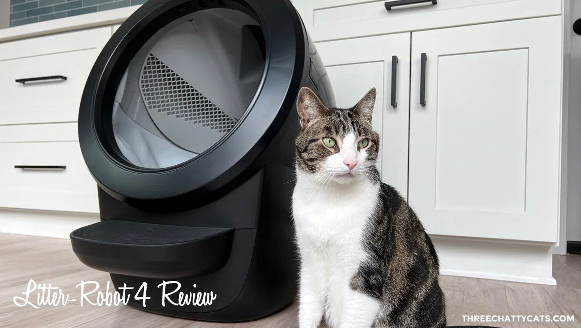 litter-robot 4 review