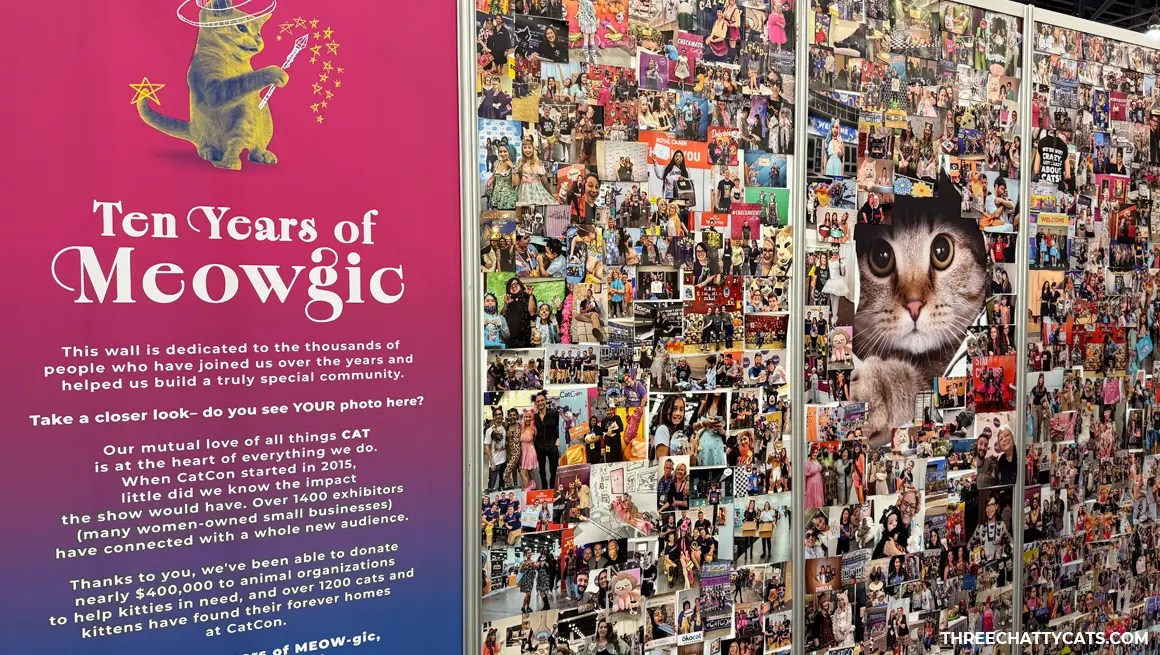 collage of cat photos celebrating the 10th anniversary of CatCon