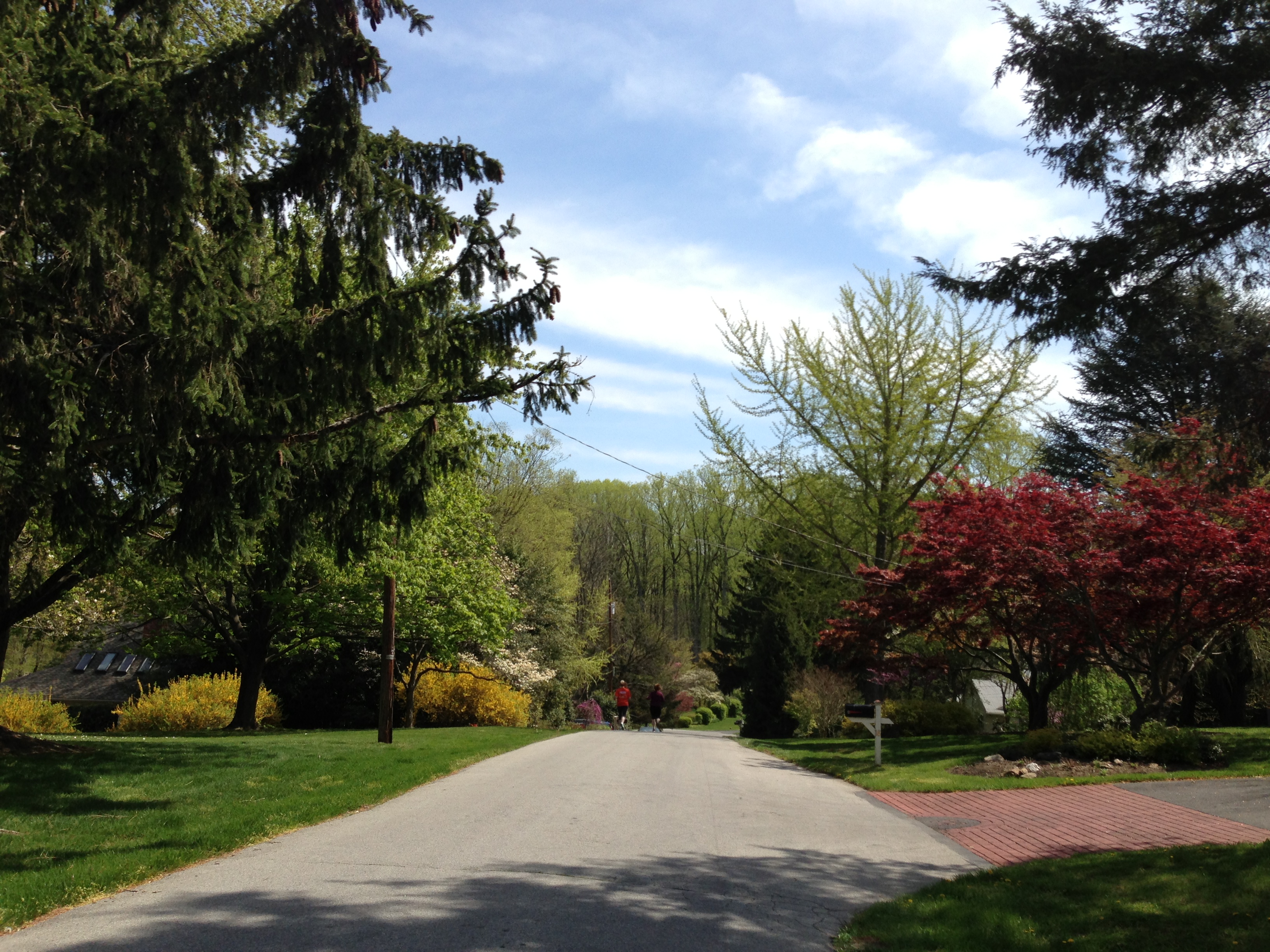 Centreville neighborhoods