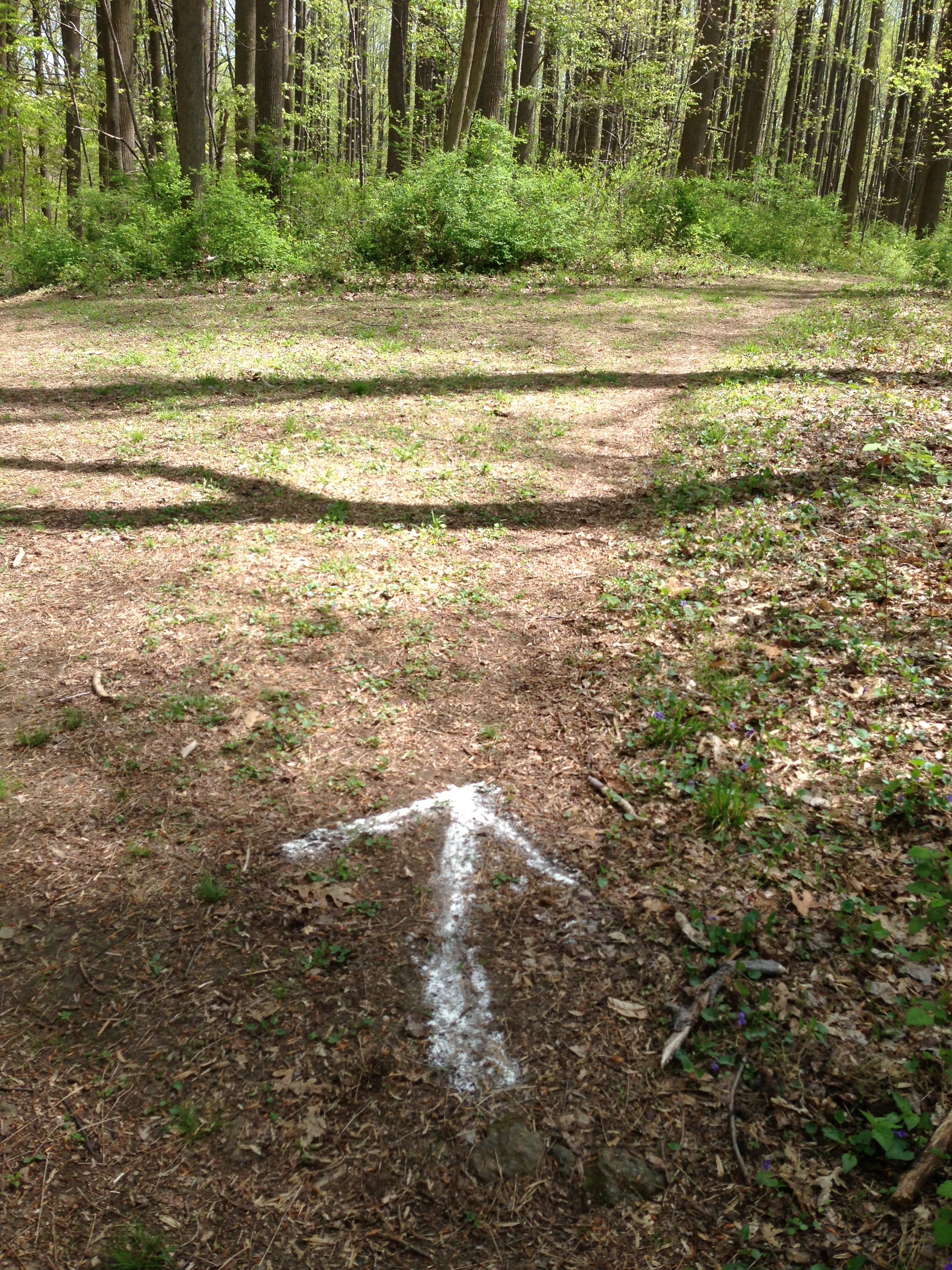 flour arrows marked the route