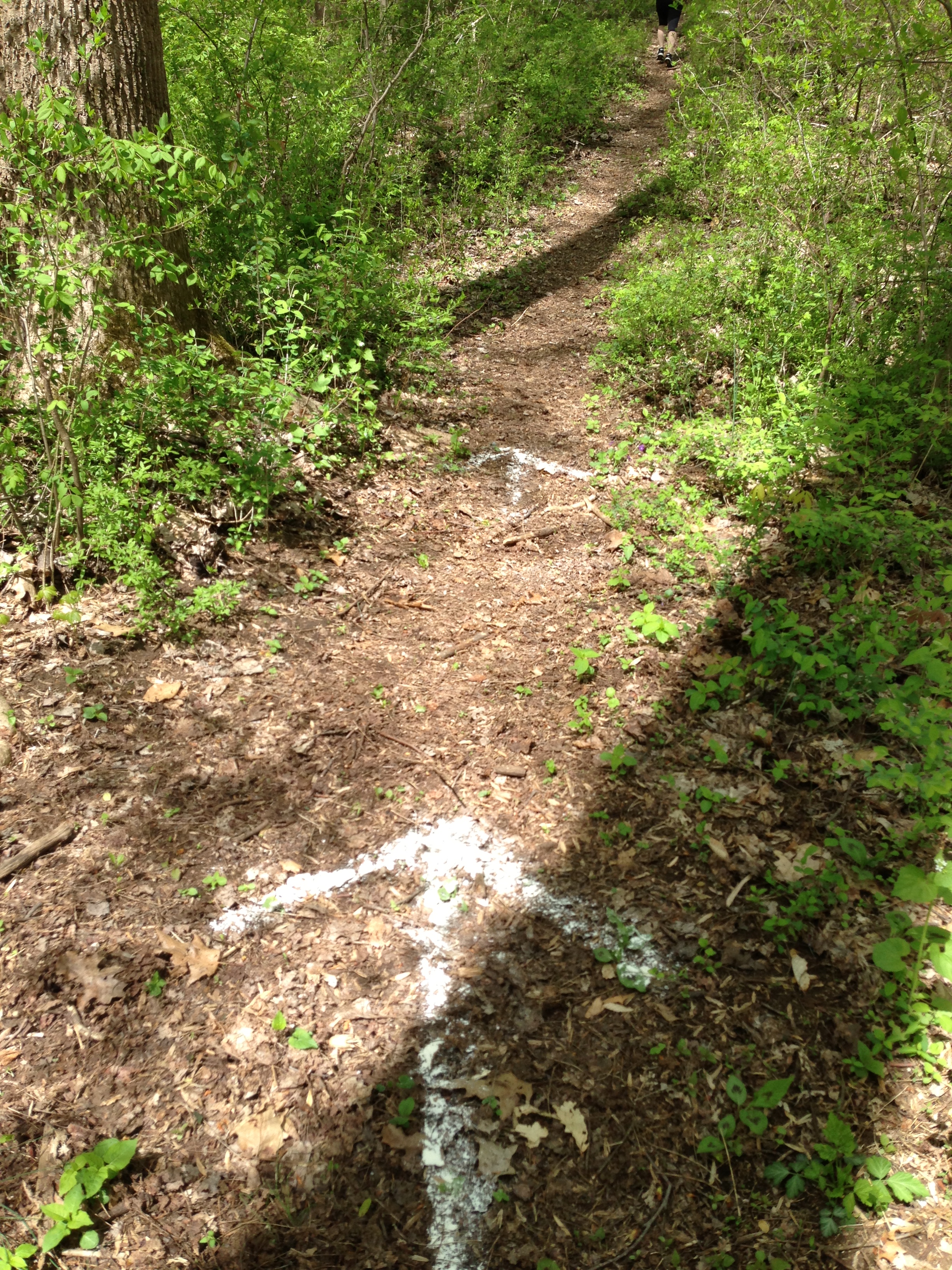 trail markings