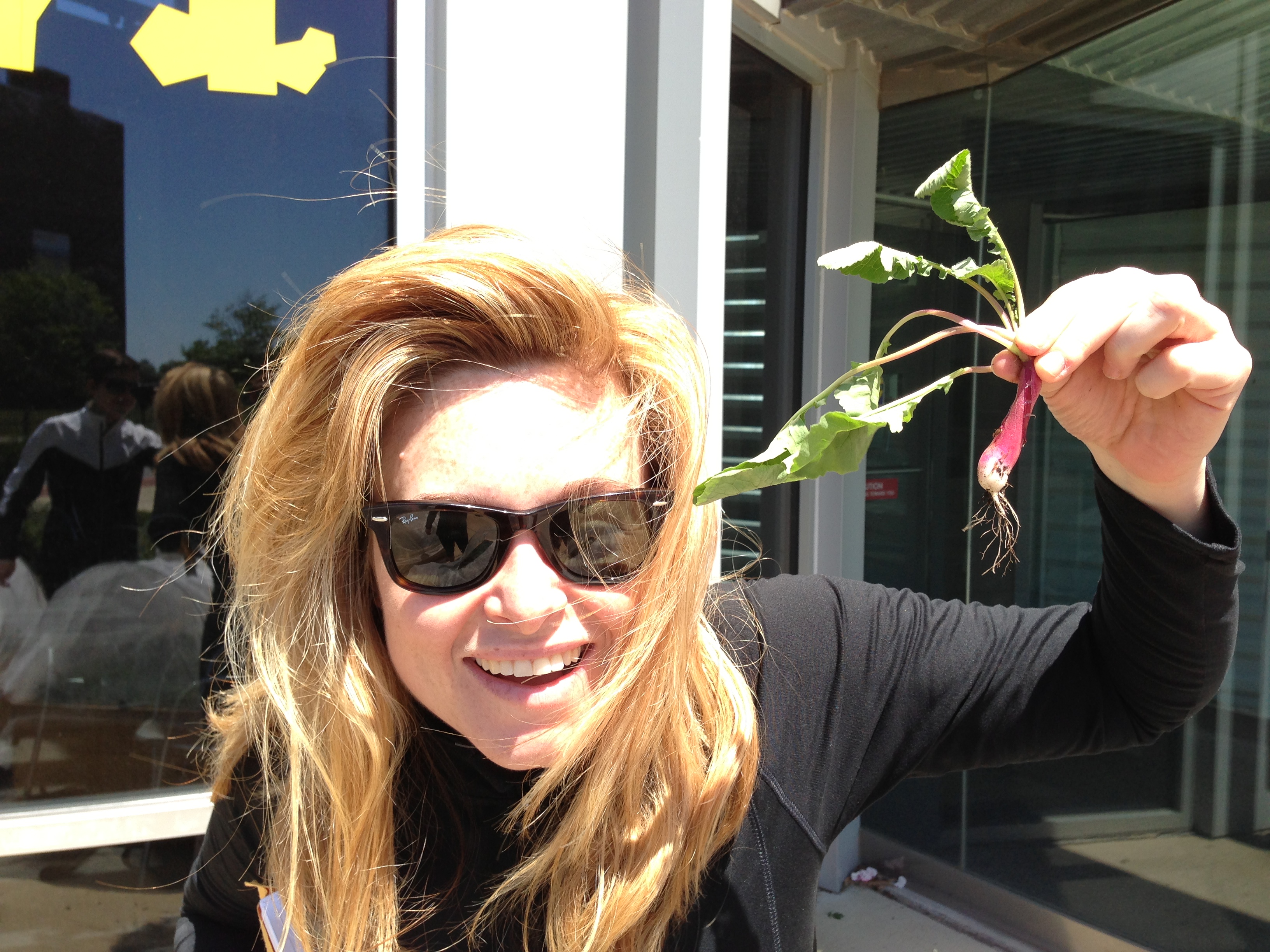 French radishes