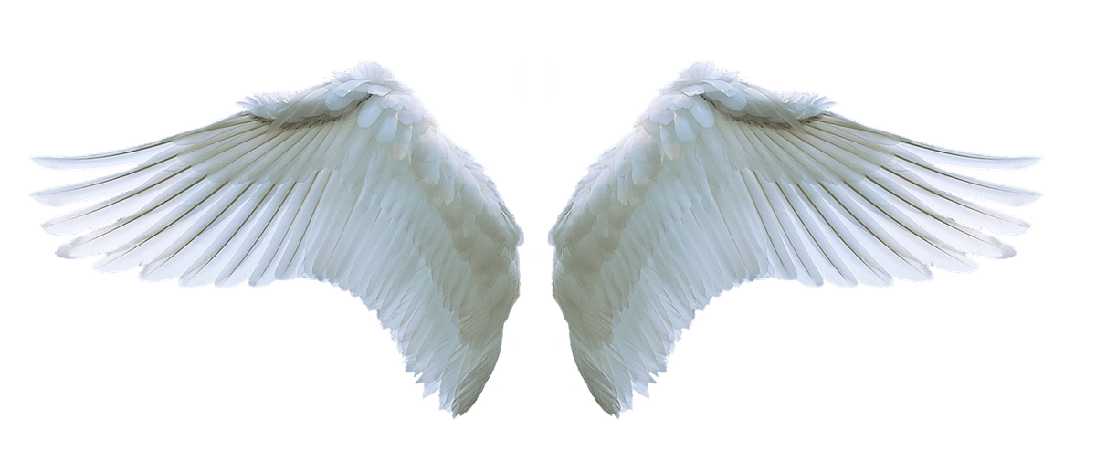 防疫,身心靈療癒,占卜,彩虹卡,大天使神諭占卜卡,疫情,防疫,群聚規定,COVID19,台灣社交距離,防疫達人