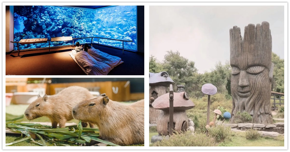 屏東親子景點,屏東親子農場,屏東親子遊樂園,親子旅遊,屏東,屏東景點,屏東避暑景點,屏東新景點,高雄屏東私房景點,高雄屏東親子景點,屏東海生館,屏東市景點,屏東私房景點,屏東景點情侶,屏東景點親子