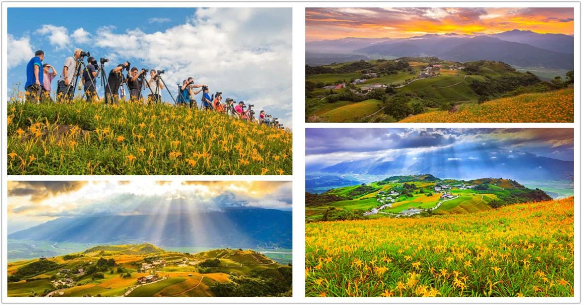 六十石山金針花季2025,六十石山金針花,六十石山金針花地標,六十石山金針花海季節,六十石山金針花季節,富里金針花,富里,花蓮,台灣,富里金針花季,六十石山,花蓮金針花季,花蓮金針花季節,花蓮金針花海,花蓮金針花季時間,花蓮金針花花季,花蓮金針花時間,花蓮金針花花期,六十石山民宿,六十石山交通,,六十石山發音,六十石山路況,六十石山住宿