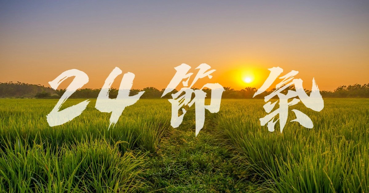 24節氣2026 年度節氣時間表視覺圖，呈現二十四節氣日期與季節變化的整體概覽