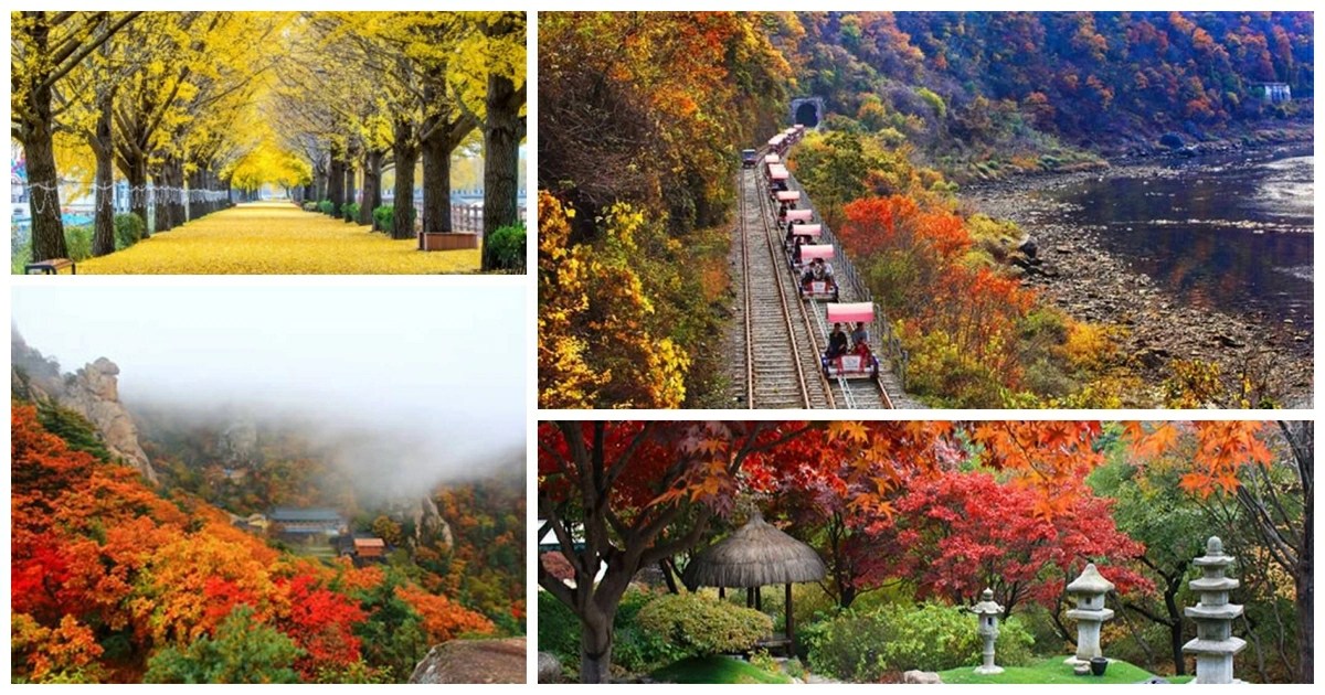 首爾近郊秋日紅葉風景，韓國賞楓季節從九月底延續至十一月初