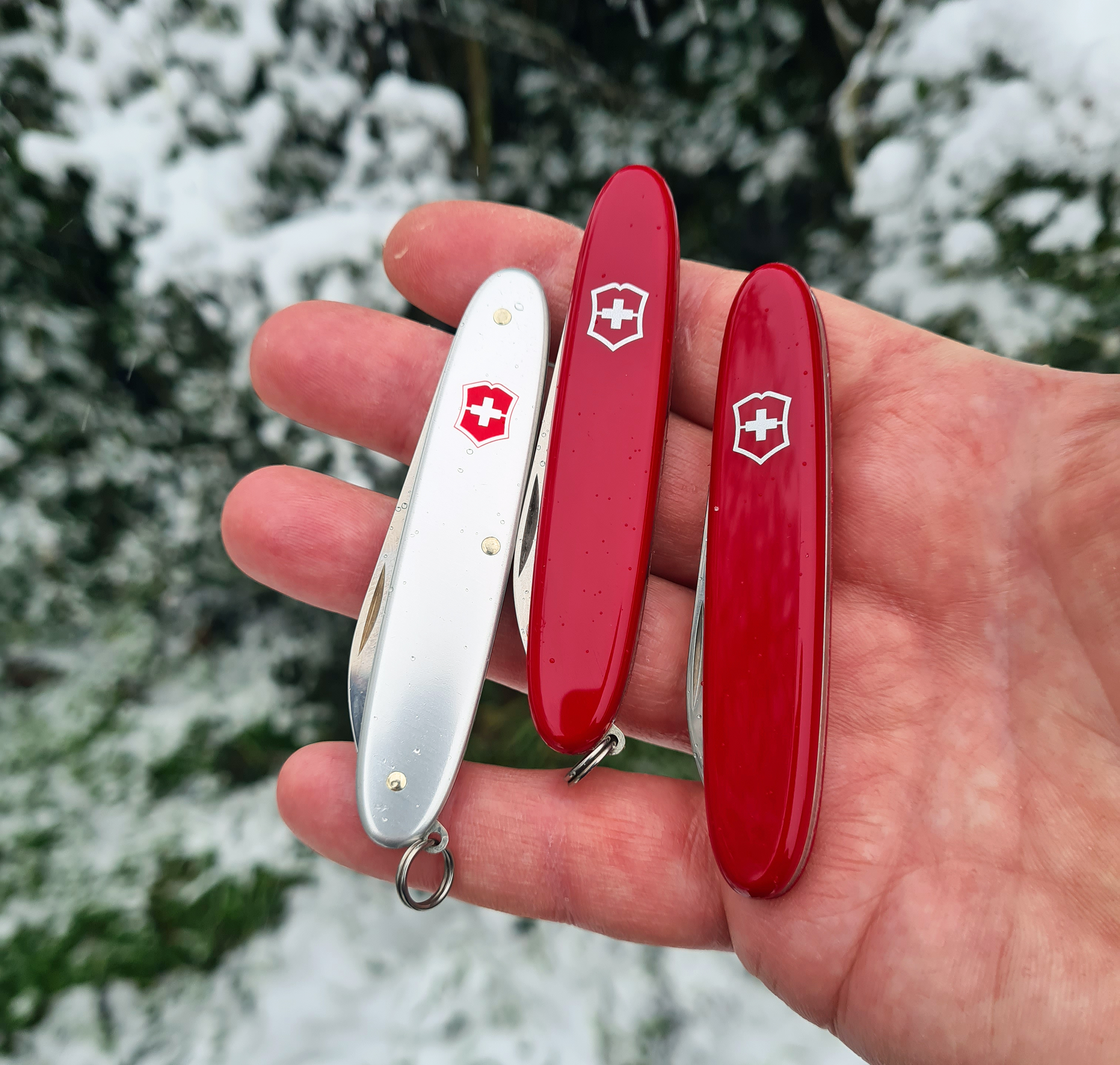 Knife chat: Slim, attractive… No, not me, it's the often