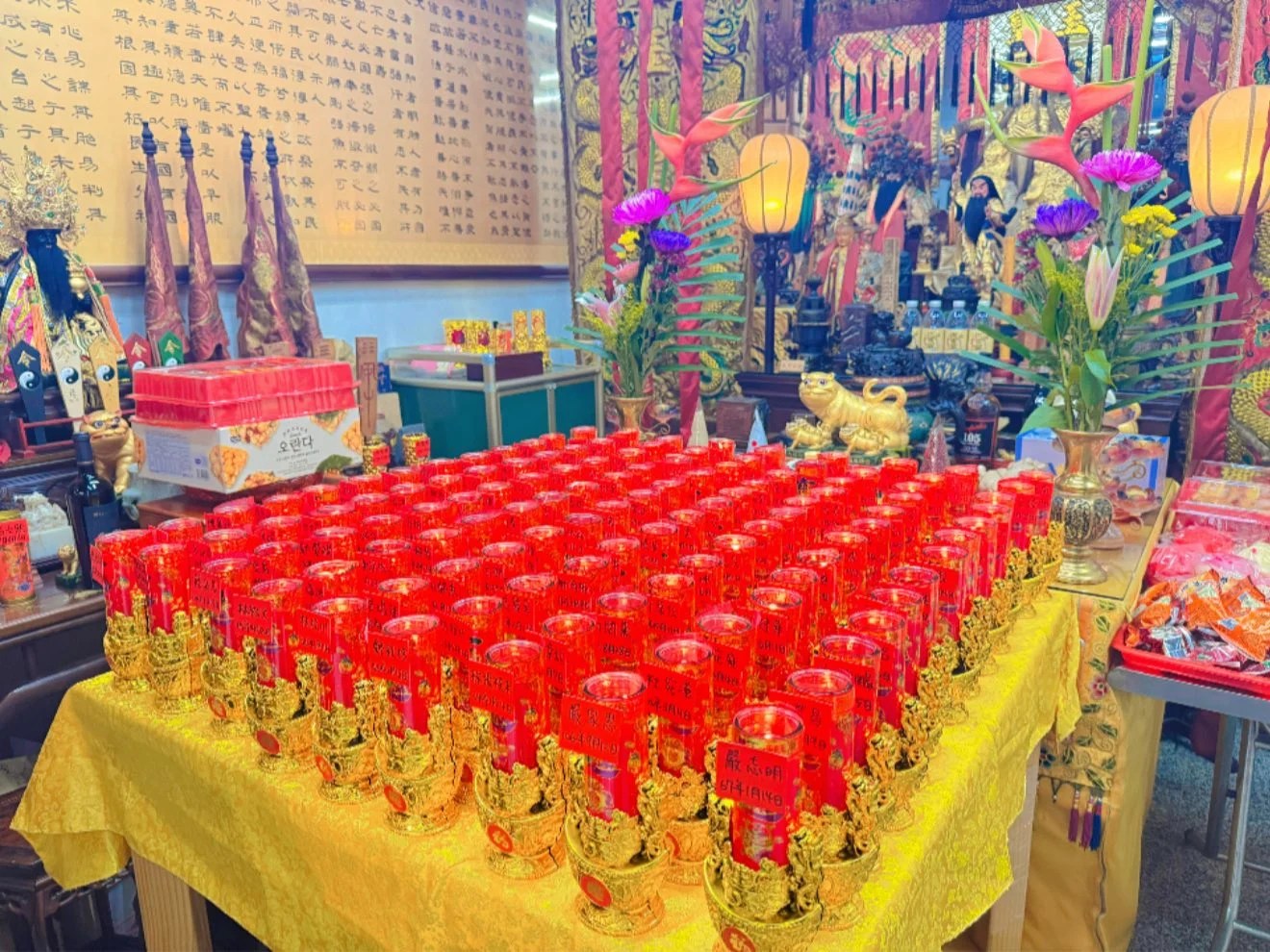 500457644 30521905174067267 7706608465896870286 N