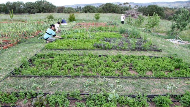 People working in a field

Description automatically generated with medium confidence