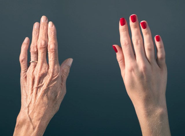 Aging Is Reversible--at Least in Human Cells and Live Mice - Scientific American