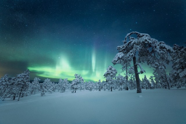 Finland scene, with snow on trees and on the ground, and the aurora borealis in the background.