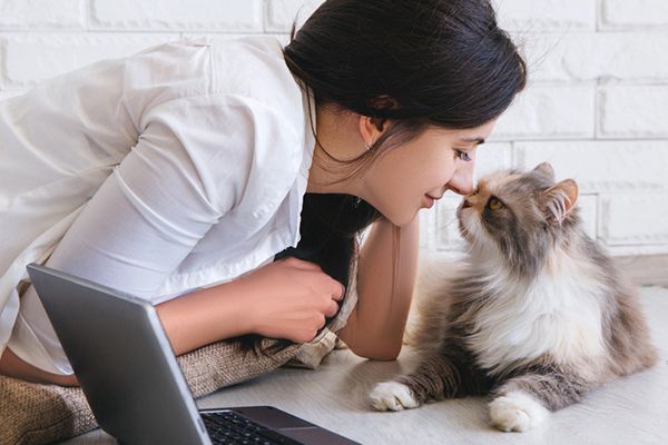 Confessions Of A Cat Whisperer: 7 Mistakes Cat Owners Make