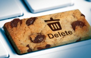 When Cookies Can Kill You How to Control and Delete Cookies on Your Browser | When Cookies Can Kill You