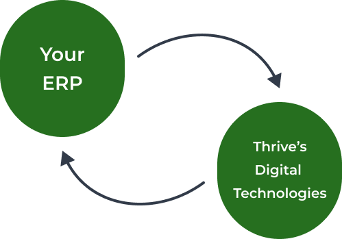 Thrive Erp Product Overview Thrive Erp - Modern Retina Nature Images | Free Download