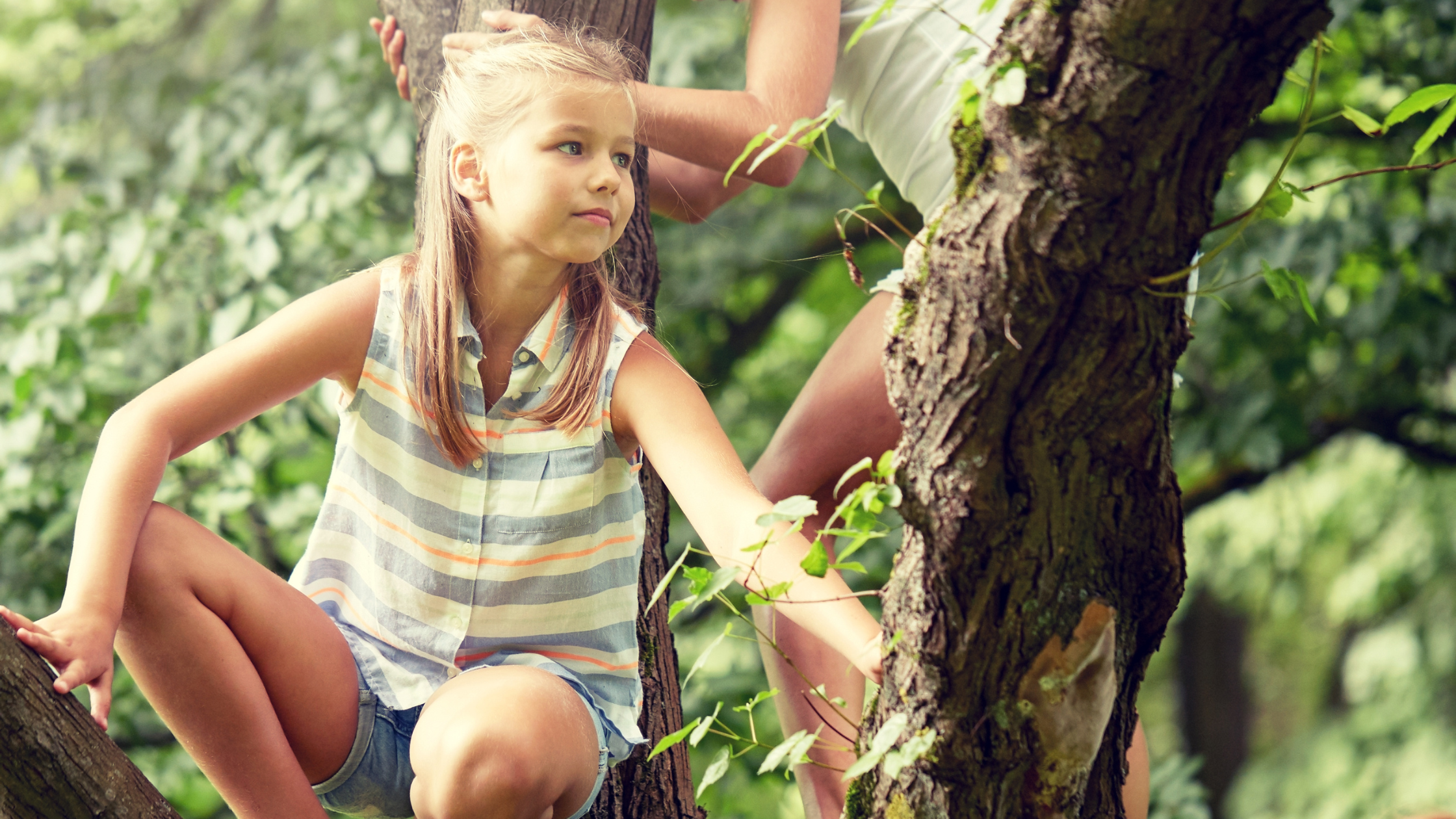 Allowing for Outdoor Risky Play