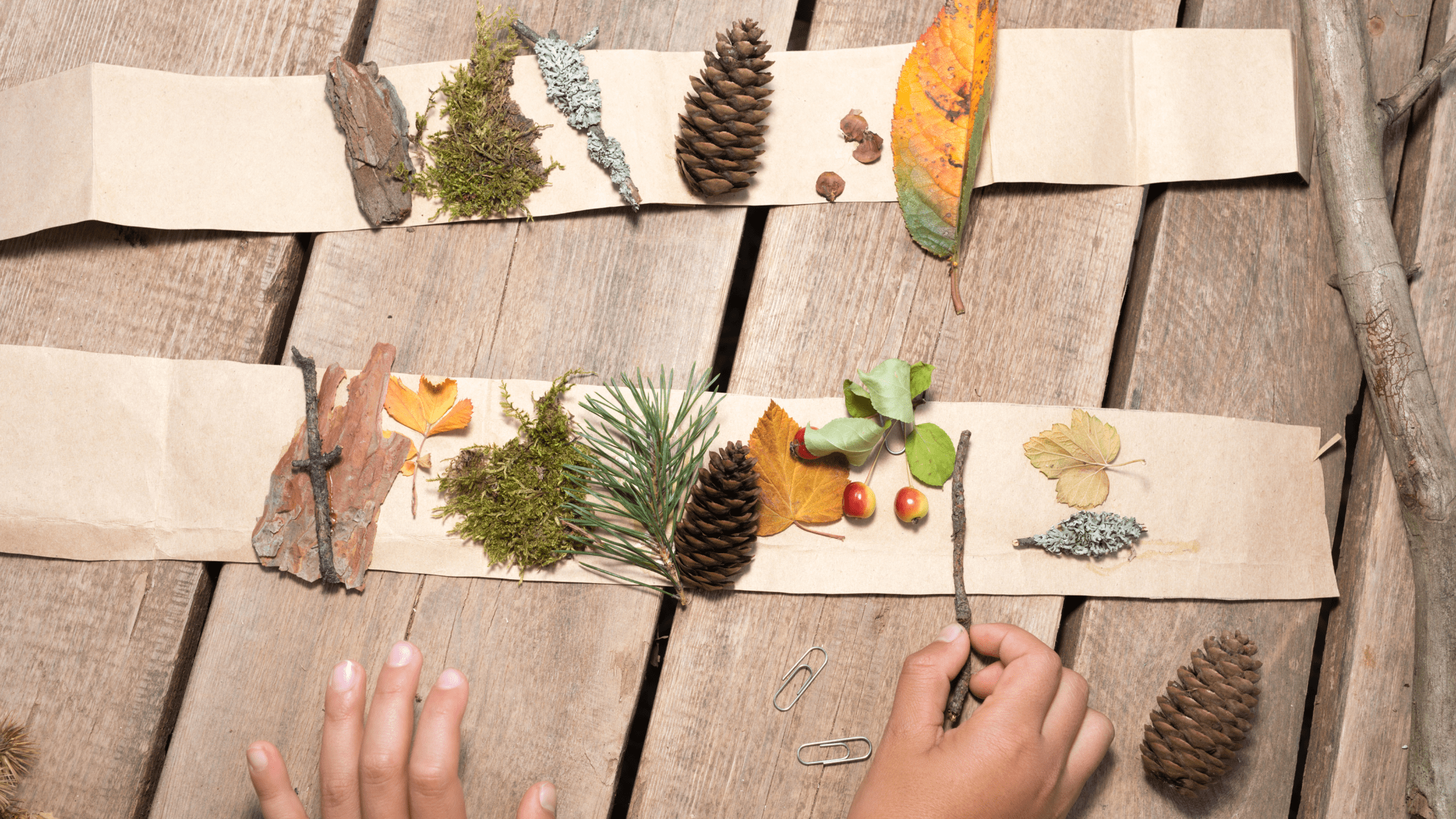 nature crown craft