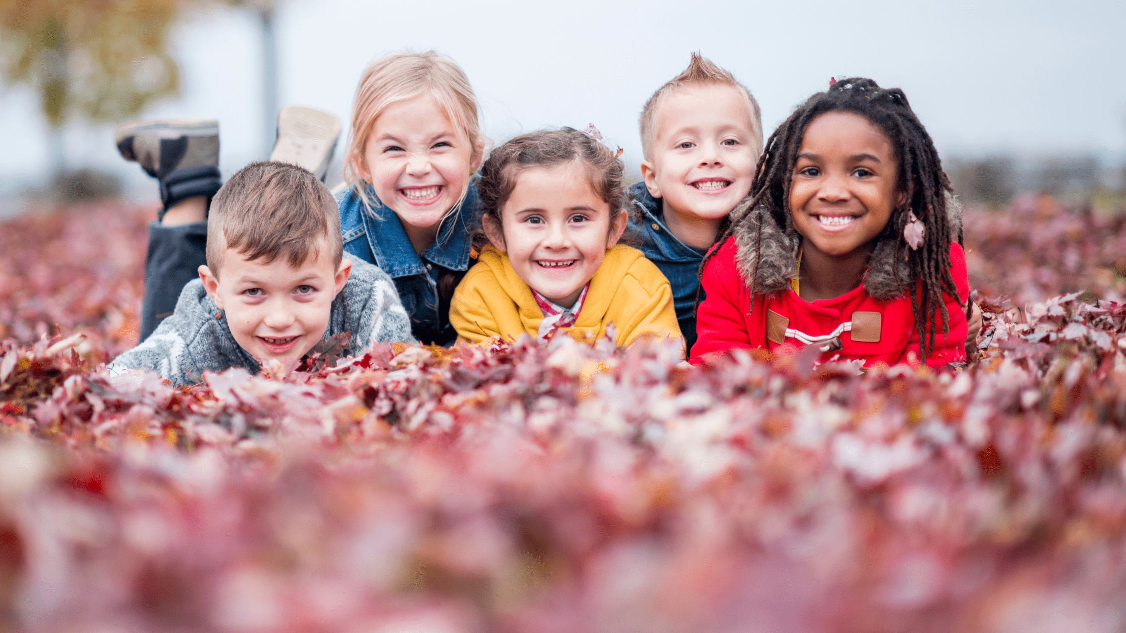A group of kids laying in the leaves outdoors.