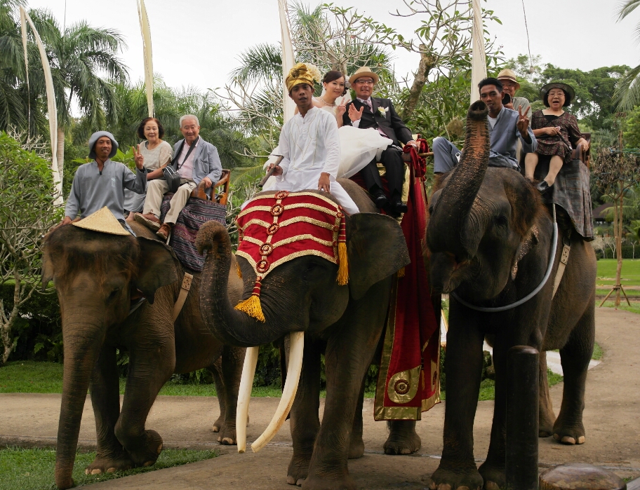 Wedding on an Elephant!