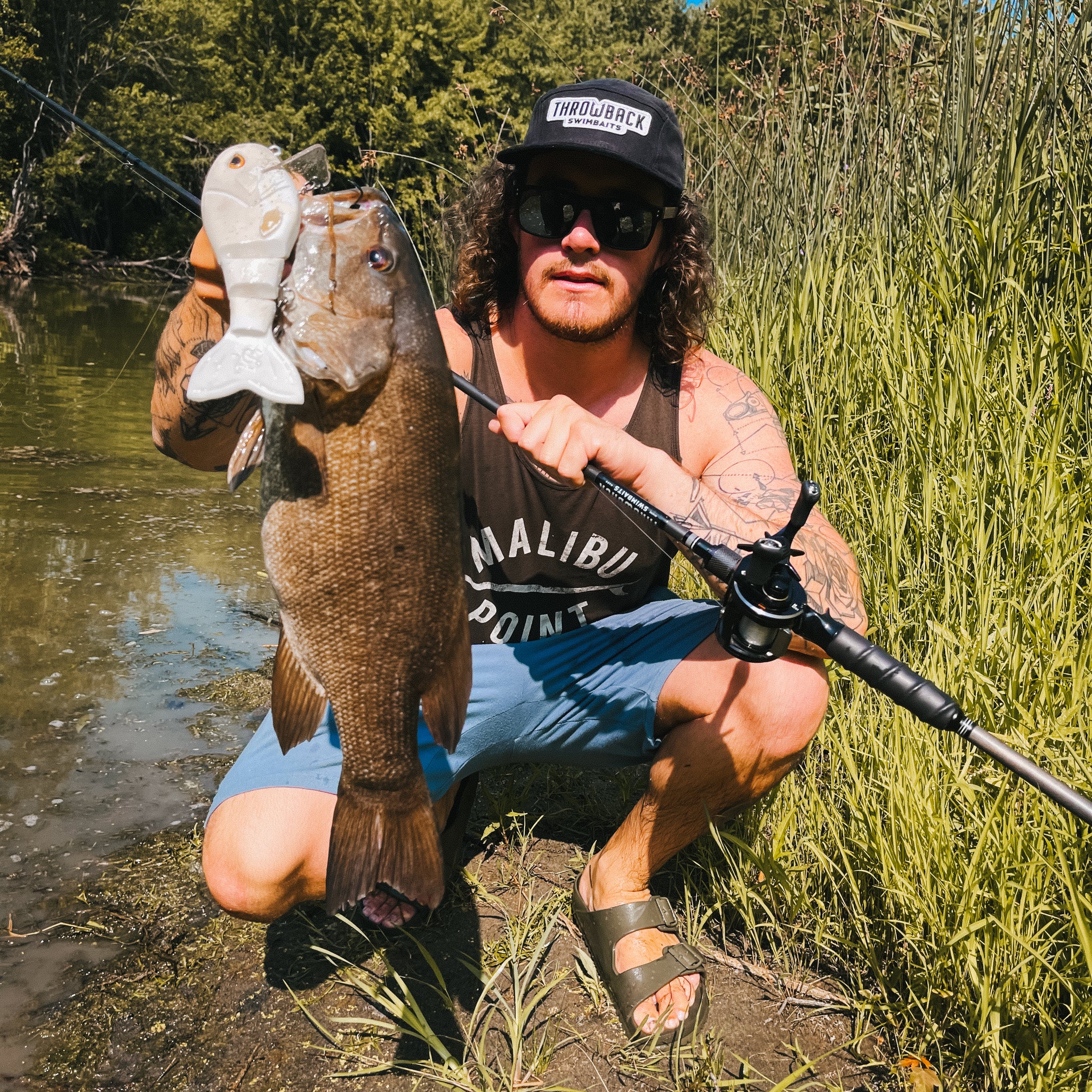 Throwback Swimbaits