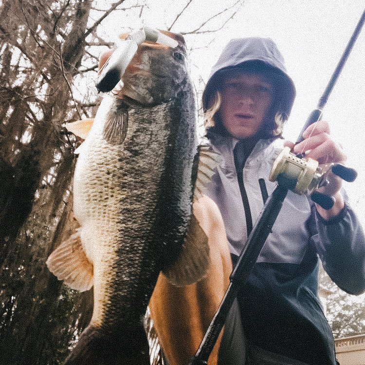 Throwback Swimbaits