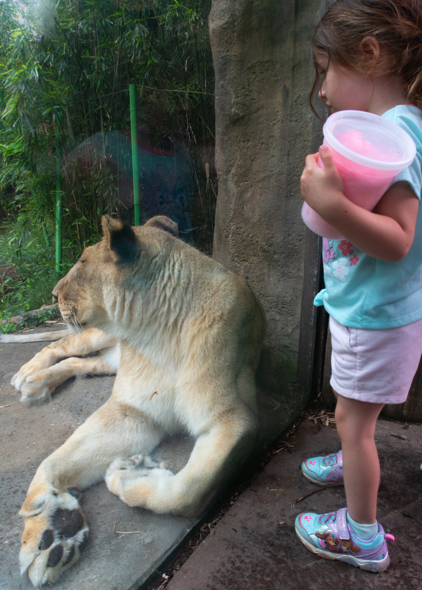 Photos From The Cincinnati Zoo 2026 | ThruMyLens