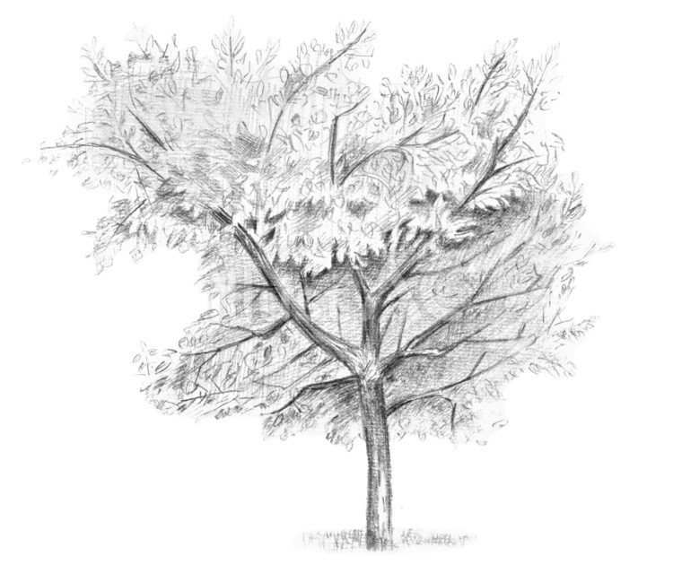 Cover Image of the Post