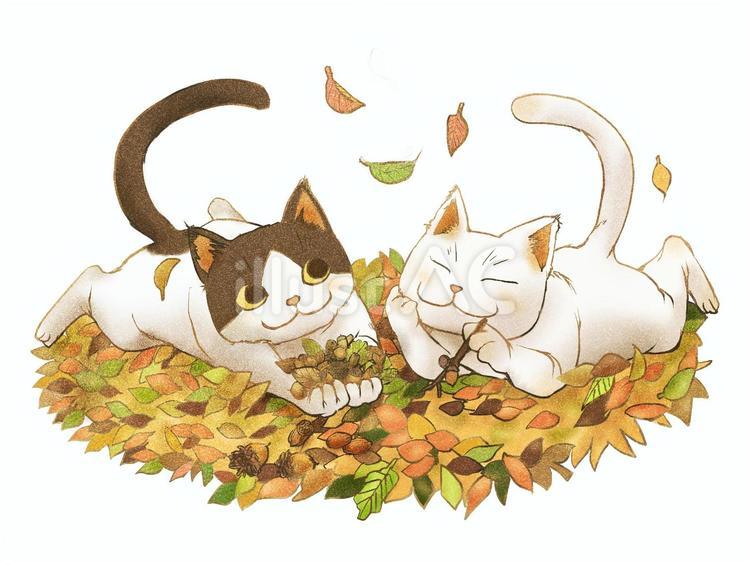 ネコ 落ち葉 11月イラスト
