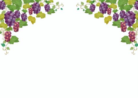 ブドウ背景イラスト｜無料イラスト・フリー素材なら「イラストac」